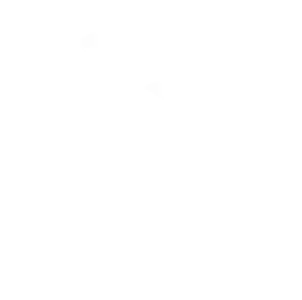 ANN GIAO ELEGANT GIFT