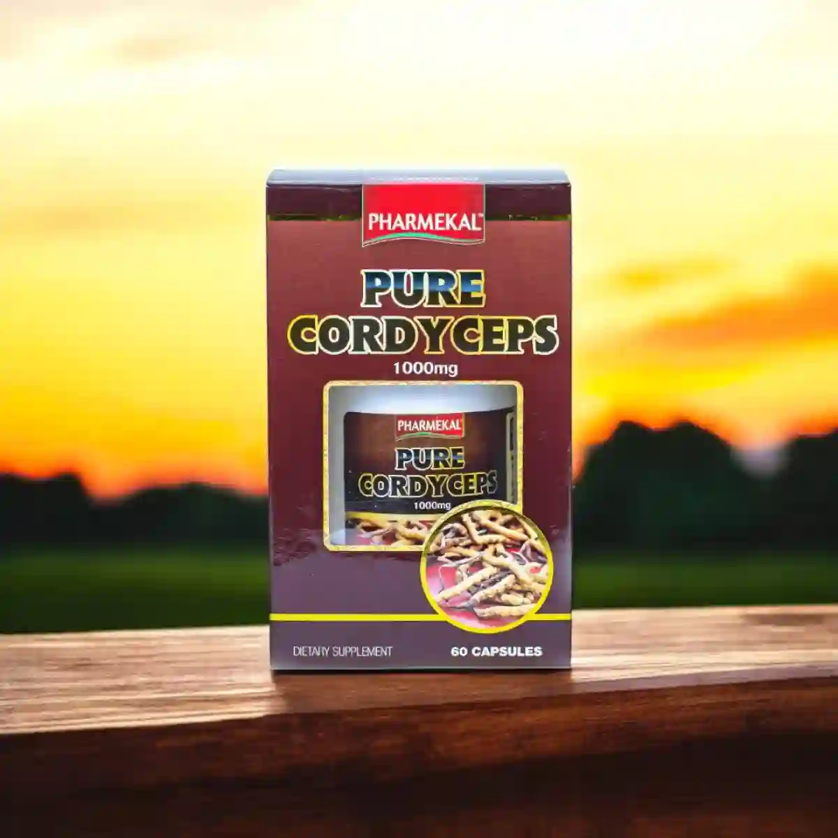 Đông Trùng Hạ Thảo - USA (viên uống)